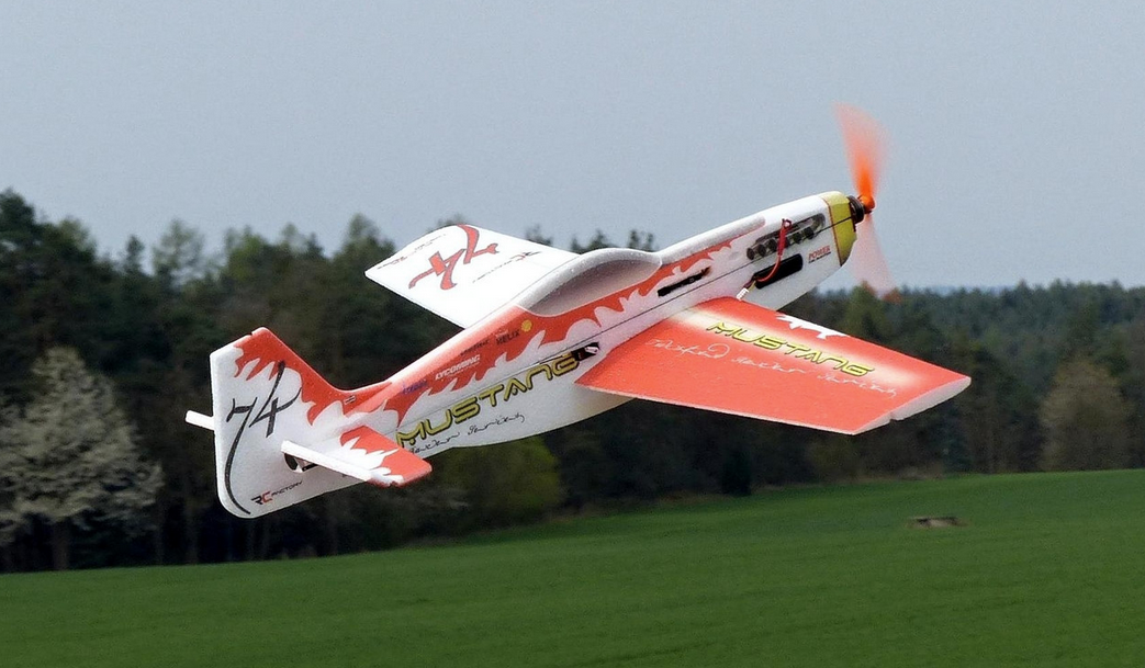 Mustang Rouge EPP 780mm Rc Factory